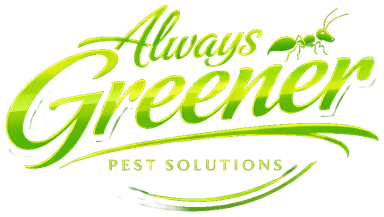 Always Greener Pest Solutions